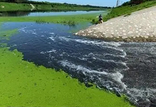 面對(duì)黑臭水體治理難題，都有哪些應(yīng)用不錯(cuò)的處理工藝？