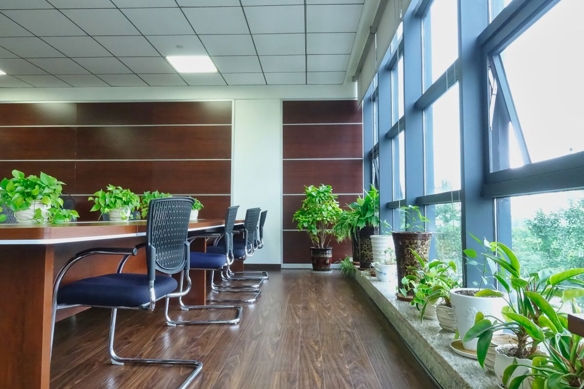 這才叫綠色環(huán)保，四川博水環(huán)保辦公室盛夏綠意